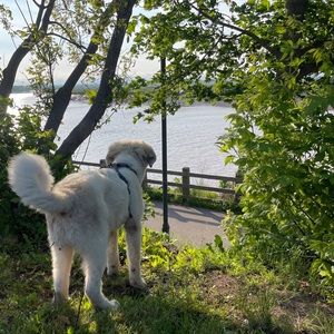 Meet your Posher, Christopher